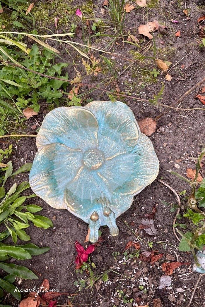 vogelbad tuin
