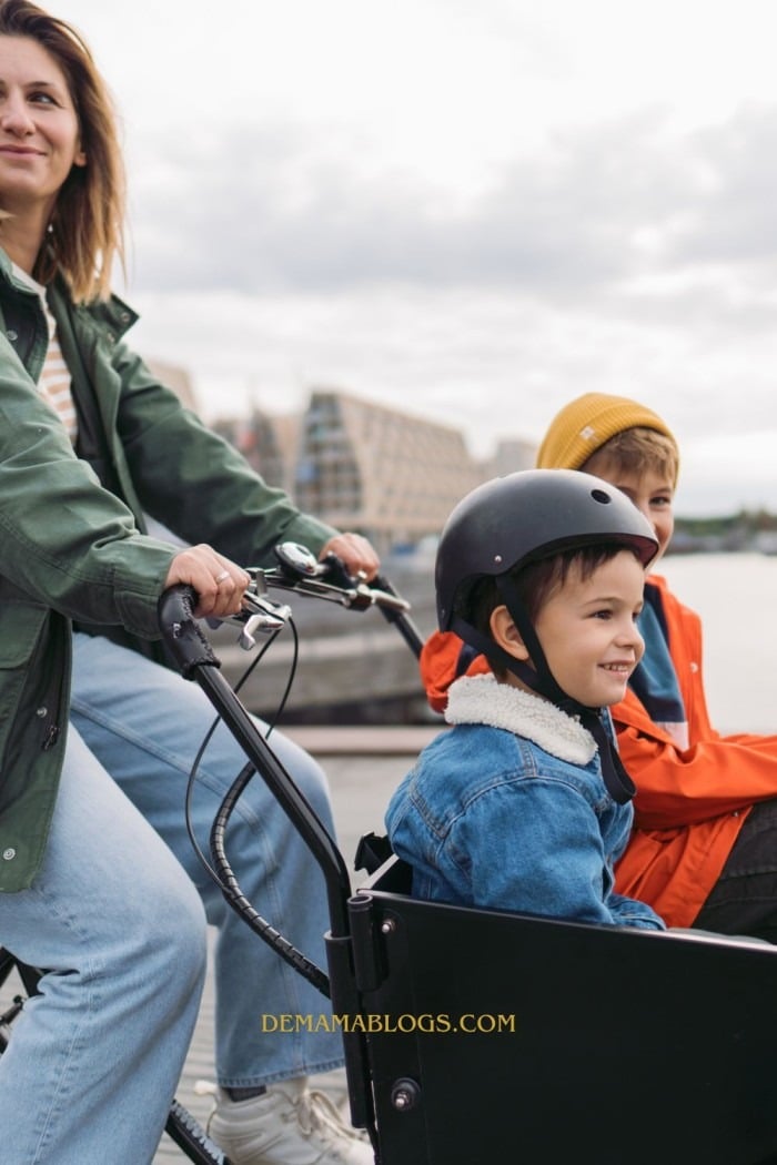 elektrische fiets