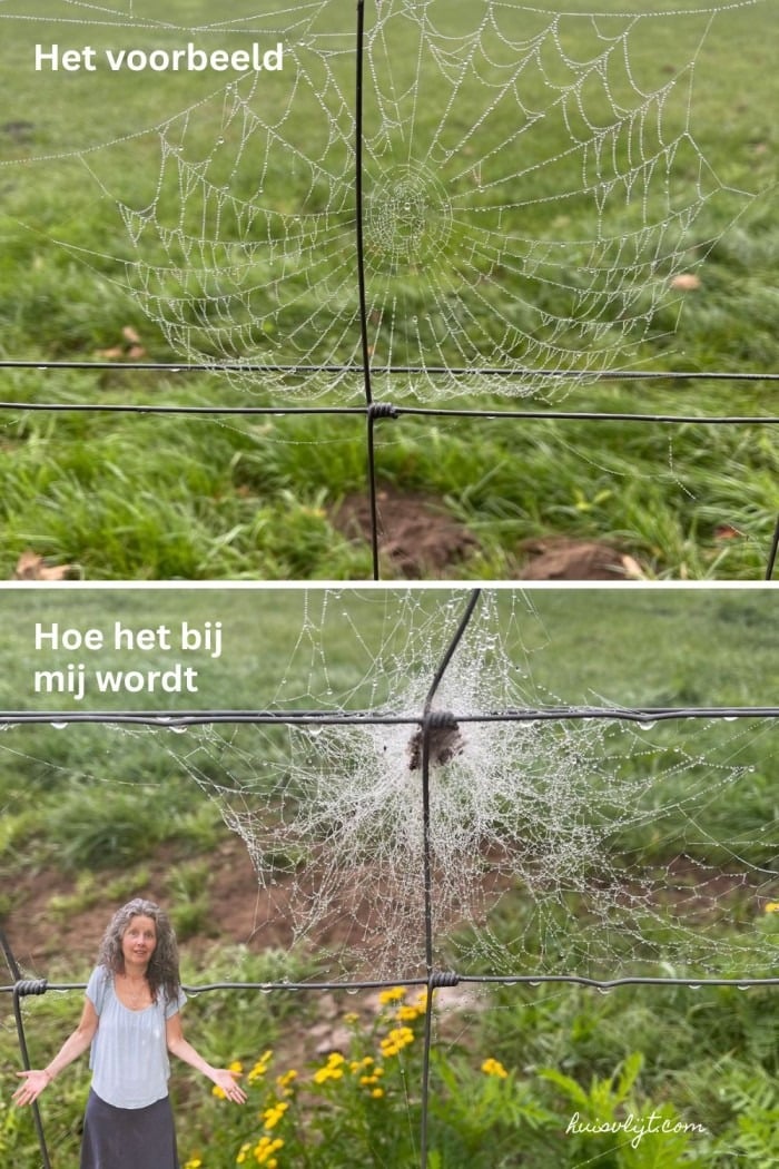 expectations versus reality