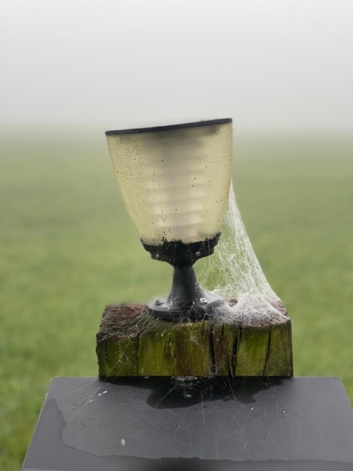 harry potter vuurbeker