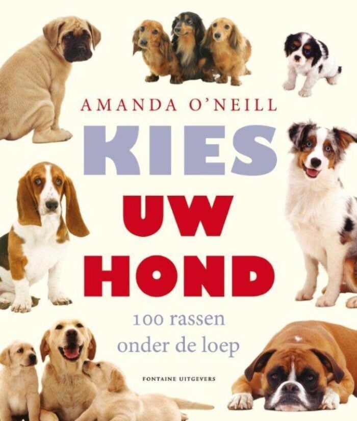 hond kiezen