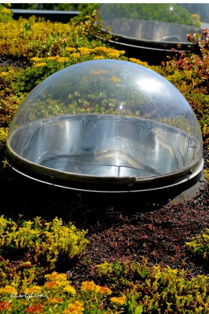 lichtkoepel plat dak