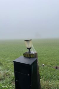 spinnenweb herfst vibe