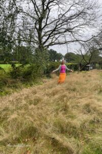 verwilderde tuin