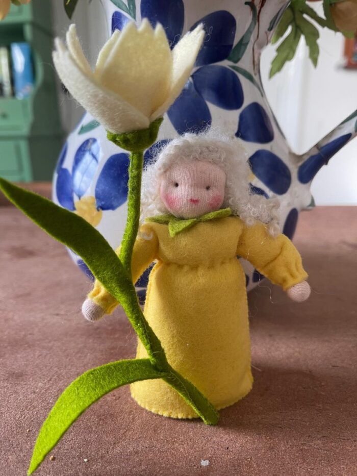 antroposofisch cadeau