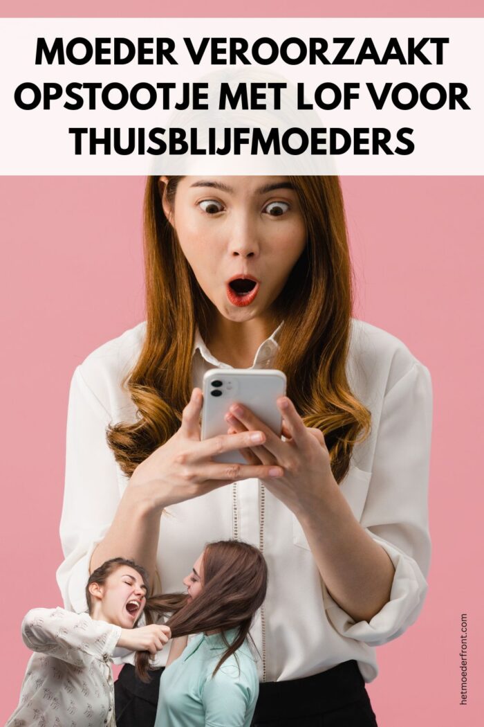 thuisblijfmoeders werken ook