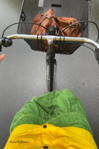 ebike fietsen