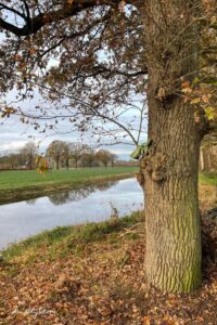 natuur