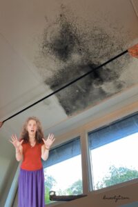 schimmel in huis