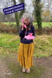 vaste telefoon