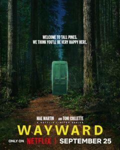 wayward netflix series