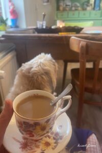 koffietijd