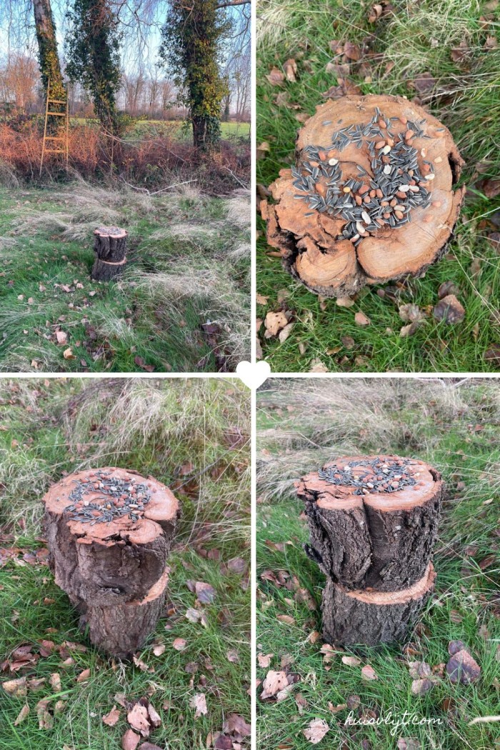 vogelvoeder zelf maken