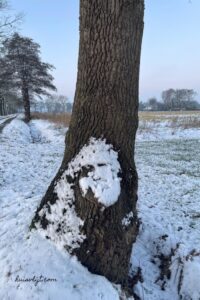 gezicht in sneeuw