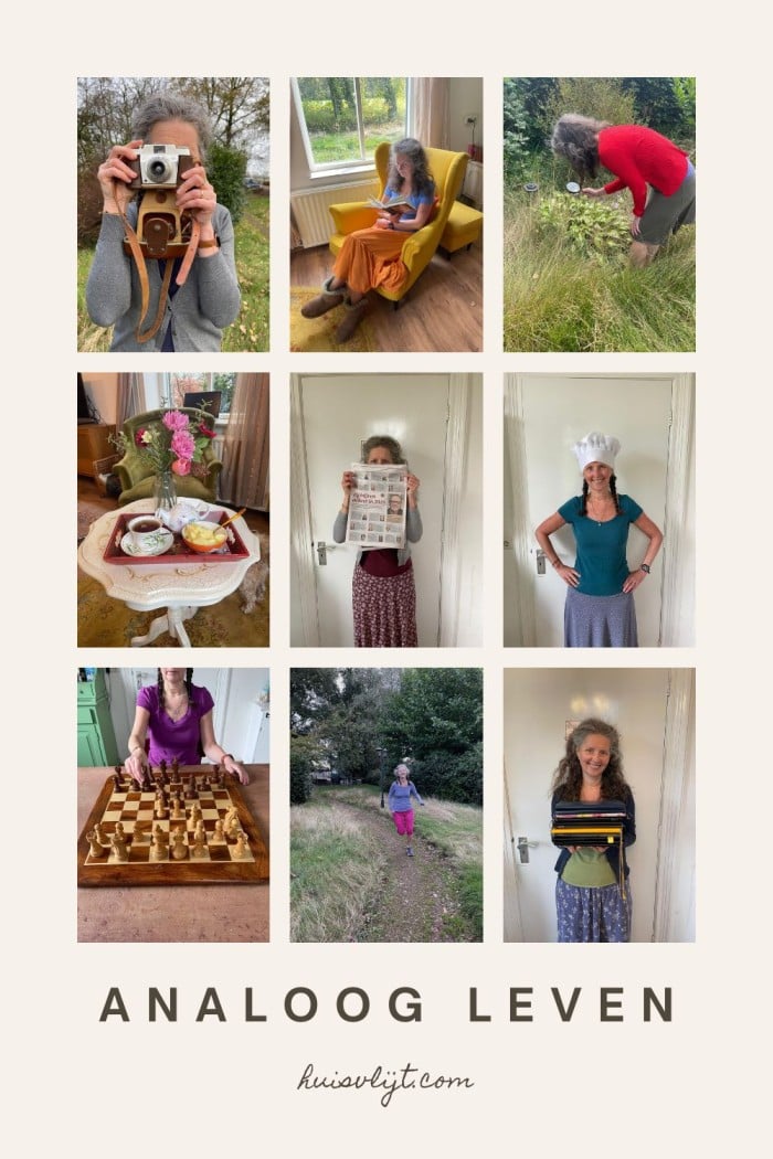 analoog leven