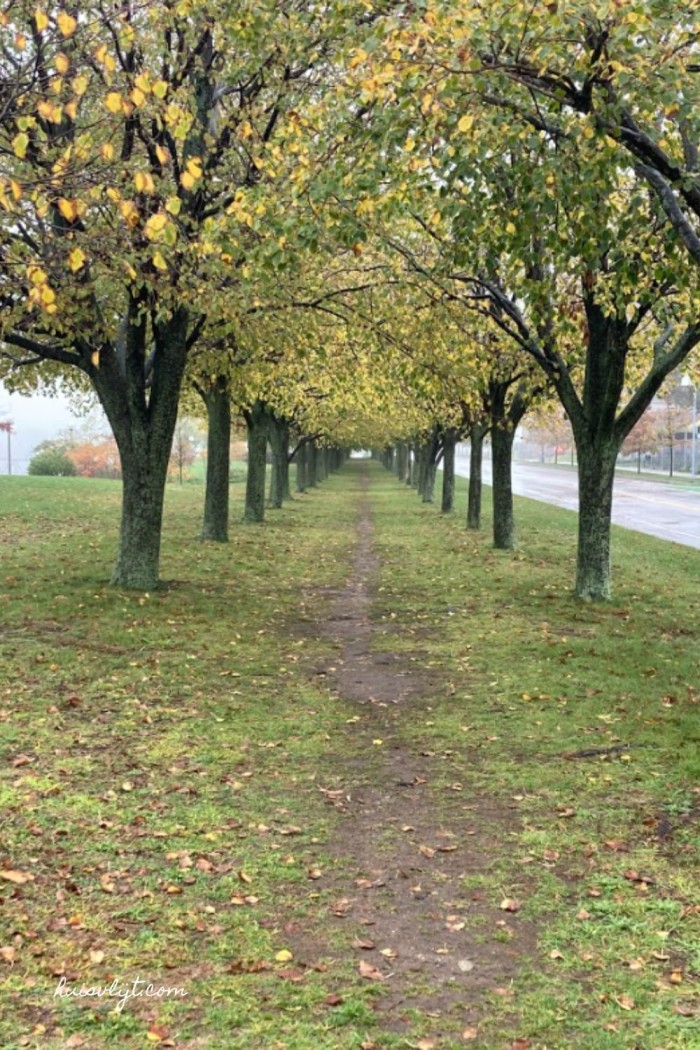 desire path