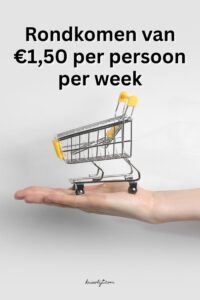 rondkomen met weinig geld