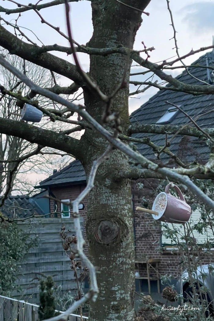 Vogelvoer knutselen: vogelvoer maken in mokken! 1 vogelvoer knutselen