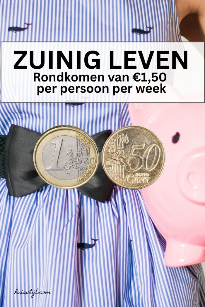 zuinig leven