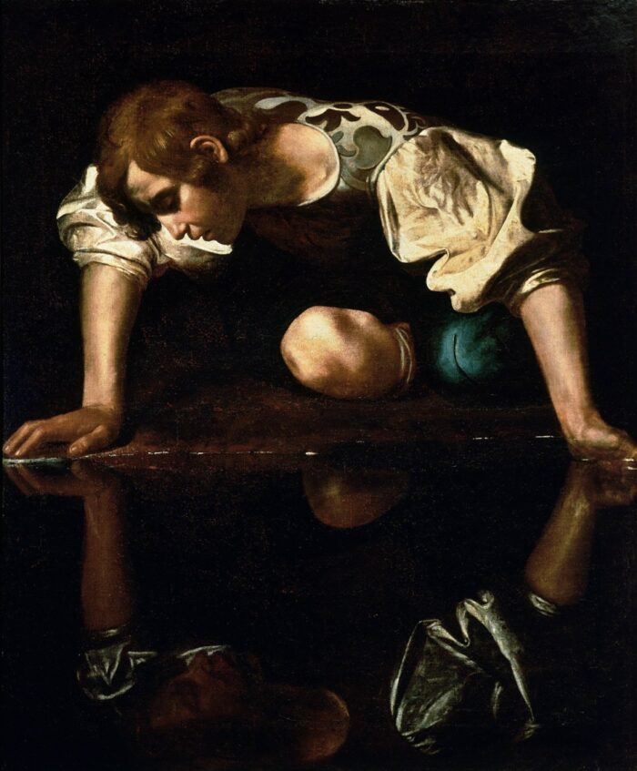 narcisussus