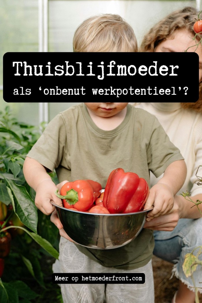 thuisblijfmoeders
