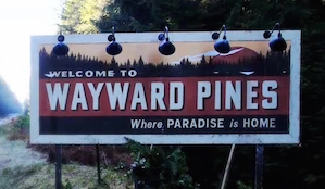 wayward pine