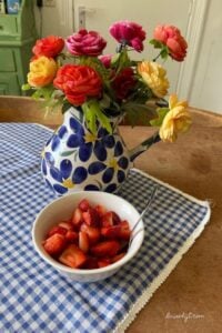 aardbeien snack