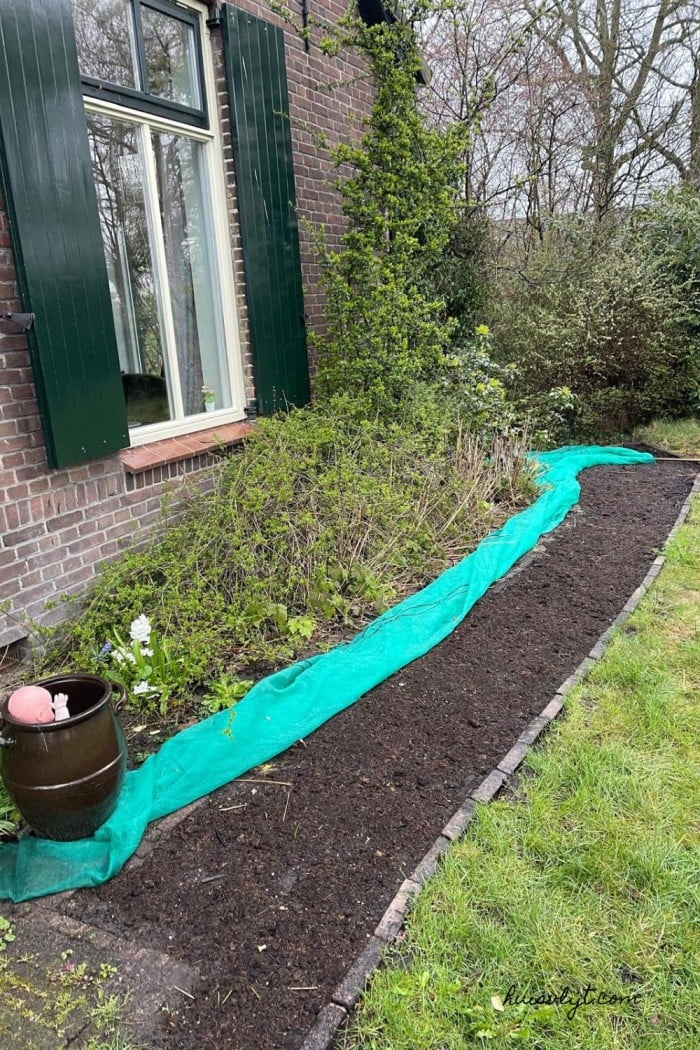 bloemen border aanleggen