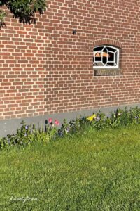border voor schuur