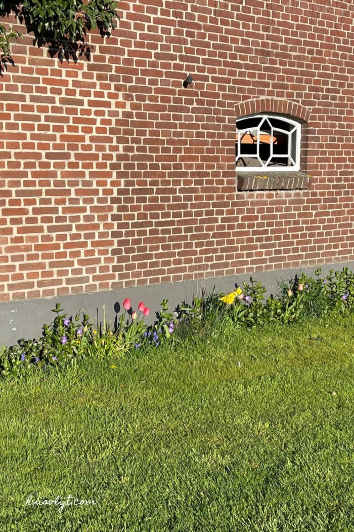 border voor schuur