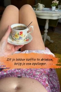opvlieger