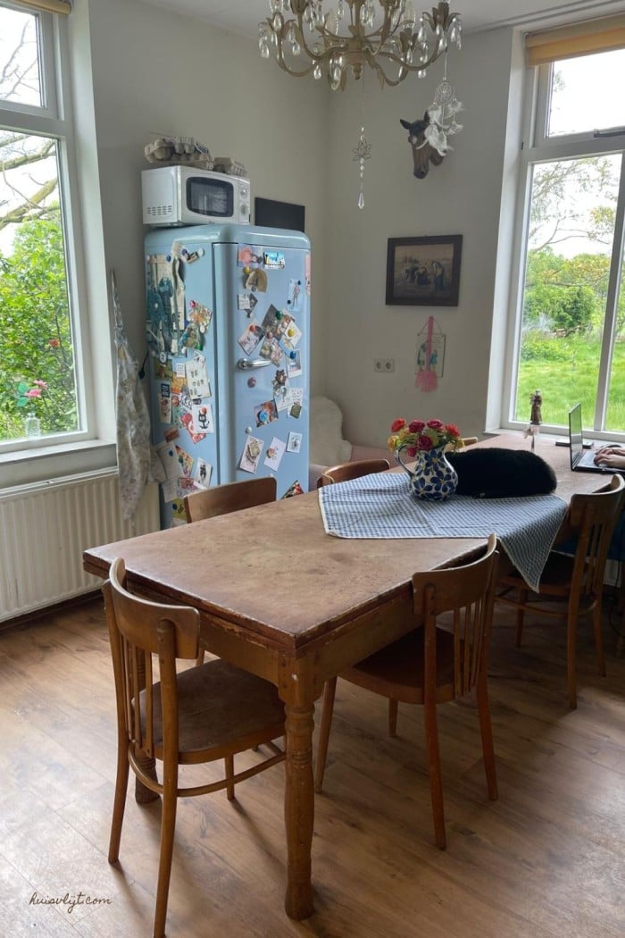 huisdieren op de keukentafel