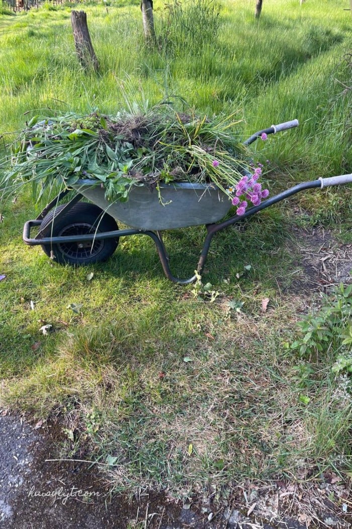 kruiwagen met bloemen