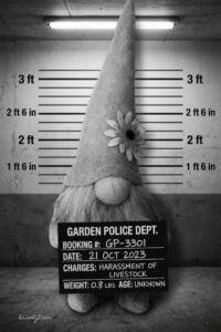 mug shot