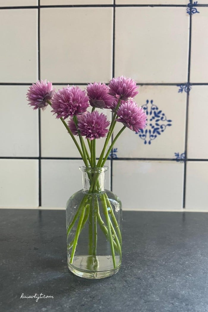 paarse bloemetjes