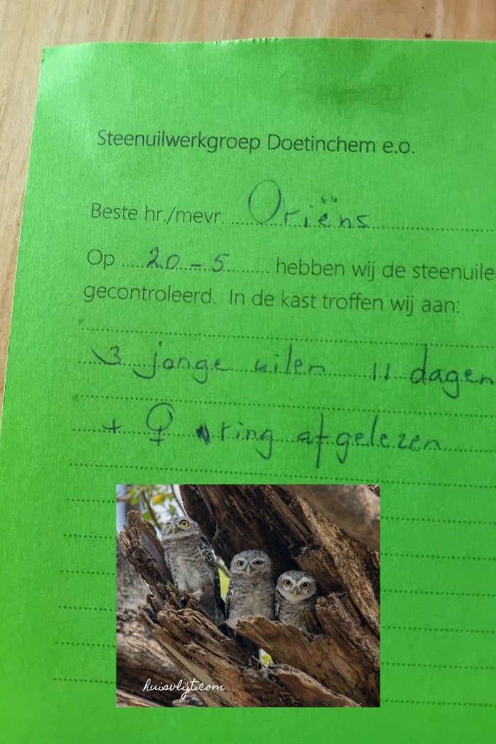 Melody's Alfabet Challenge Fotografie: De letter U van... 3 uilskuikens