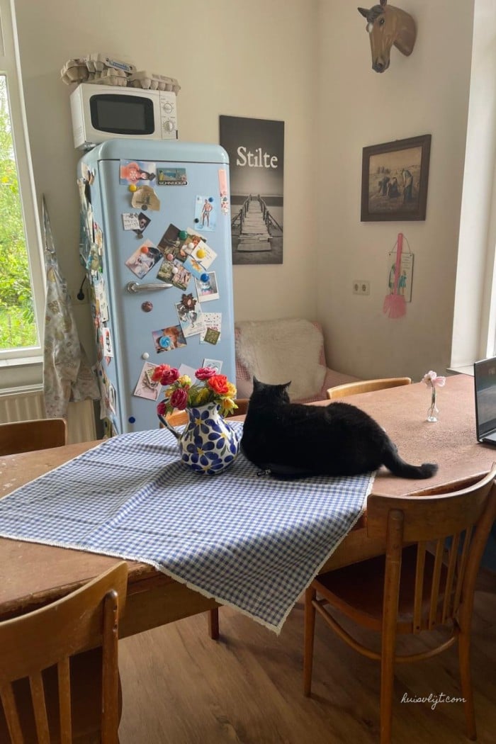 zwarte poes