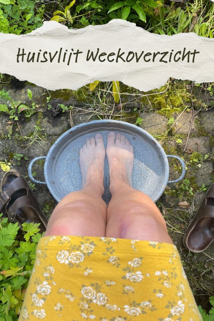 huisvlijt weekoverzicht