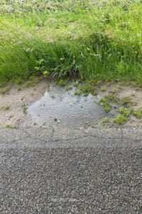 natuur fotografie wachten