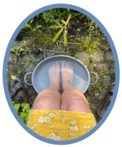 zomer sidebar