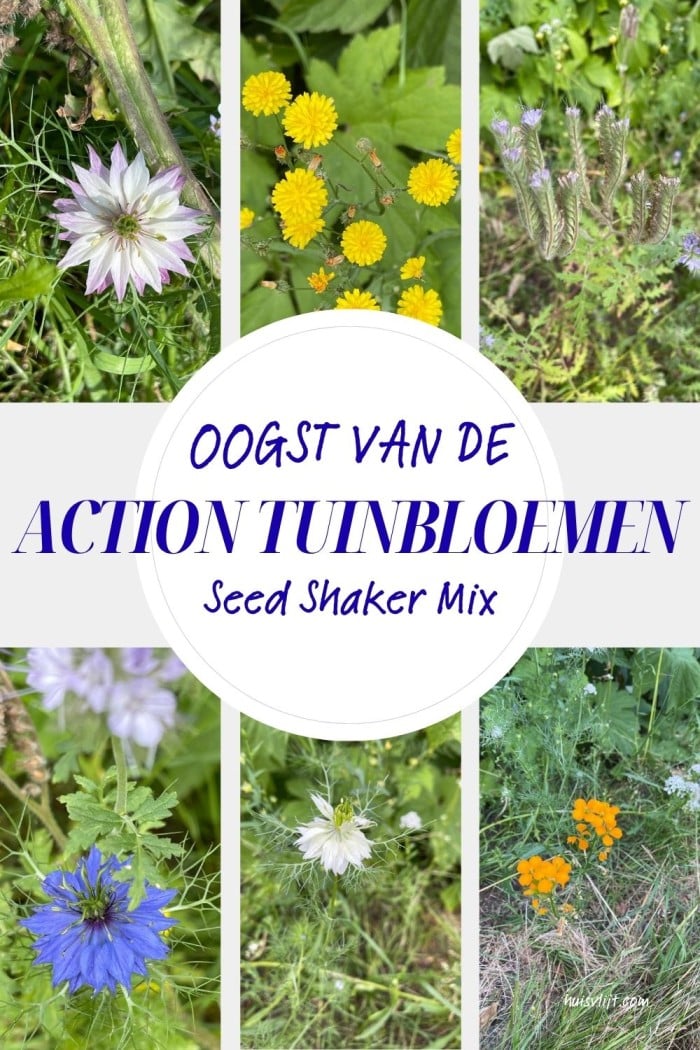 Action bloemenzaad getest: mijn ervaring met Seed Shaker na 3 maanden 1 action tuinbloemen