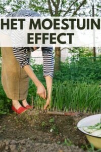 moestuin