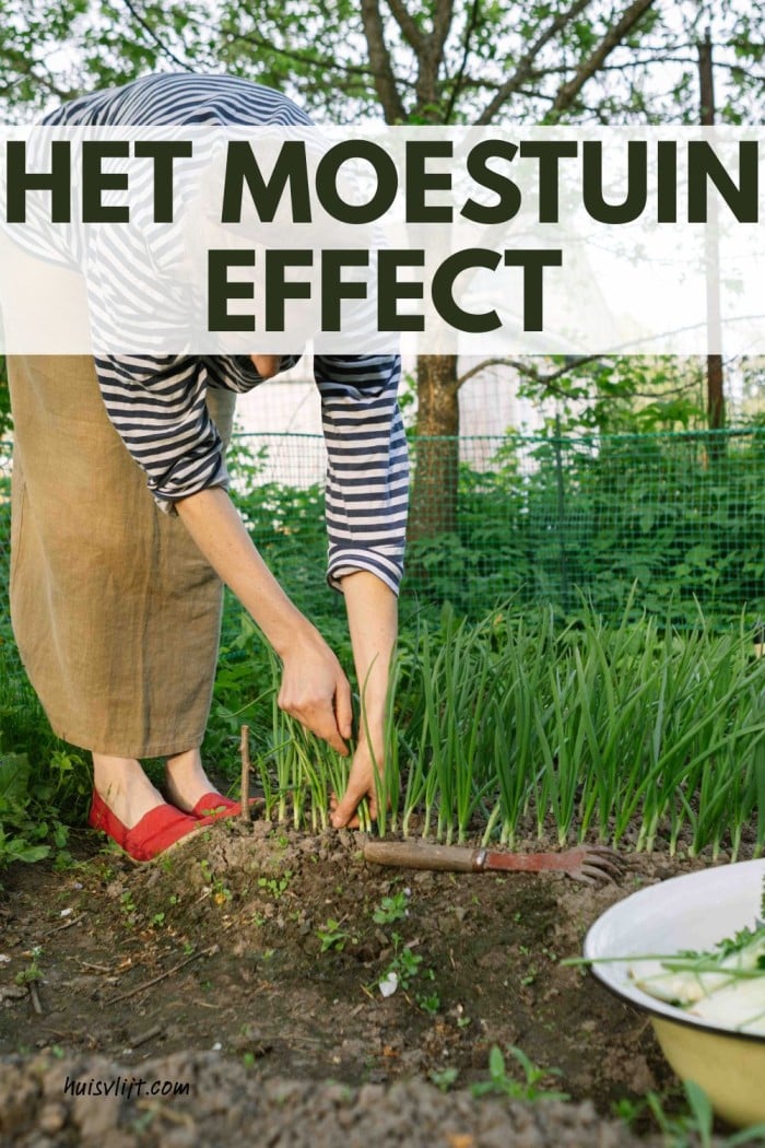moestuin