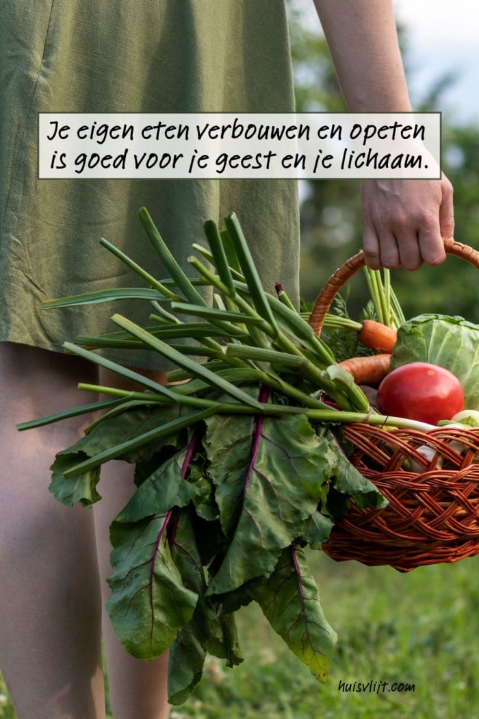 Handen in de aarde: Hoe ik door mijn moestuin weer zin in het leven kreeg 2 moestuinieren