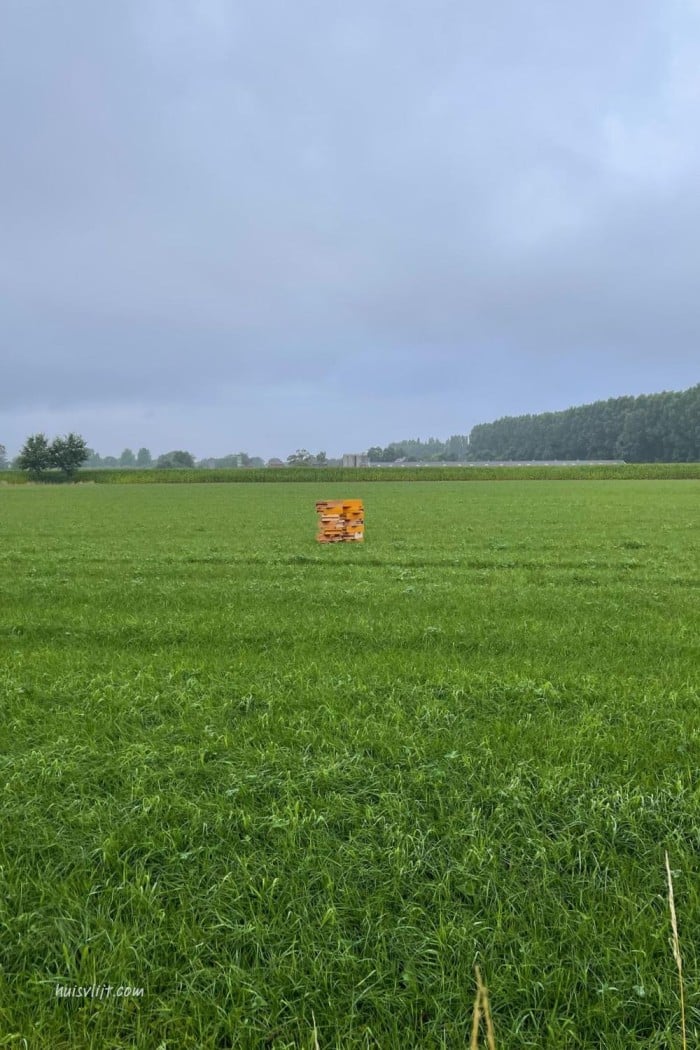 natuur fotografie