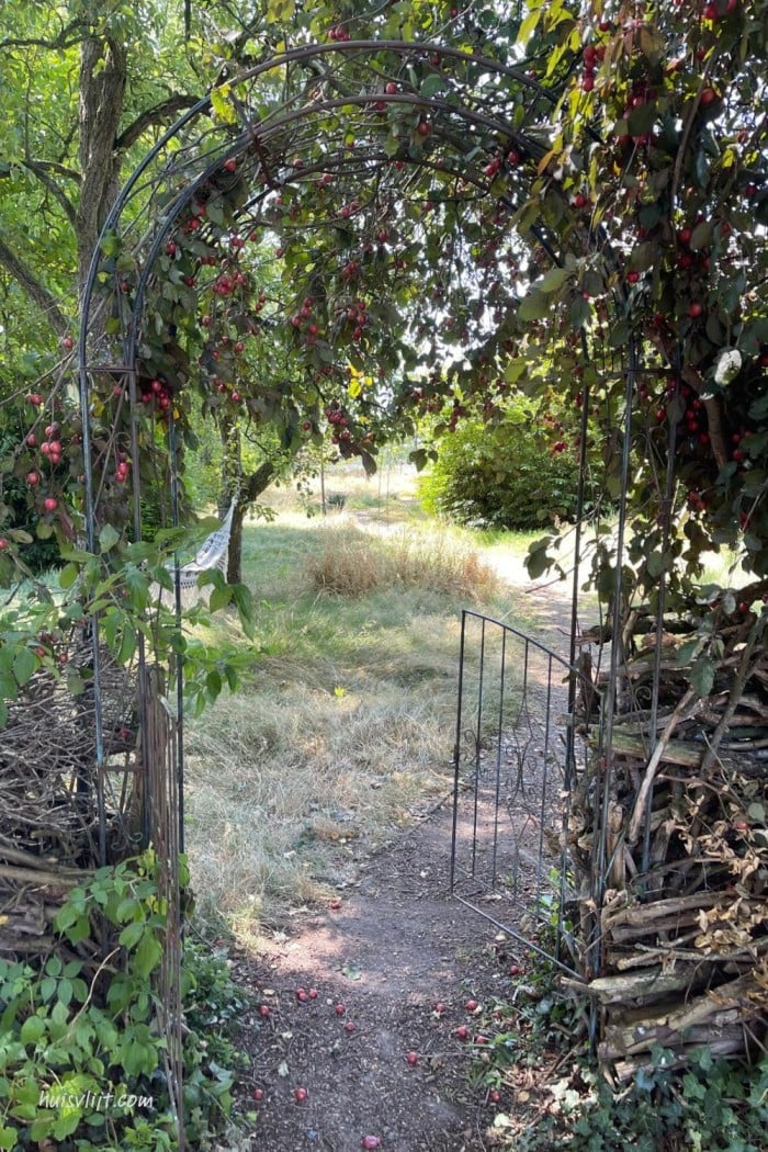 Rozenboog in de tuin: een sprookjesachtige entree (met 'kersen') 1 rozenboog