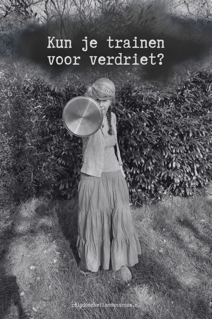 Huisvlijt Weekoverzicht 31 2 verdriet trainen