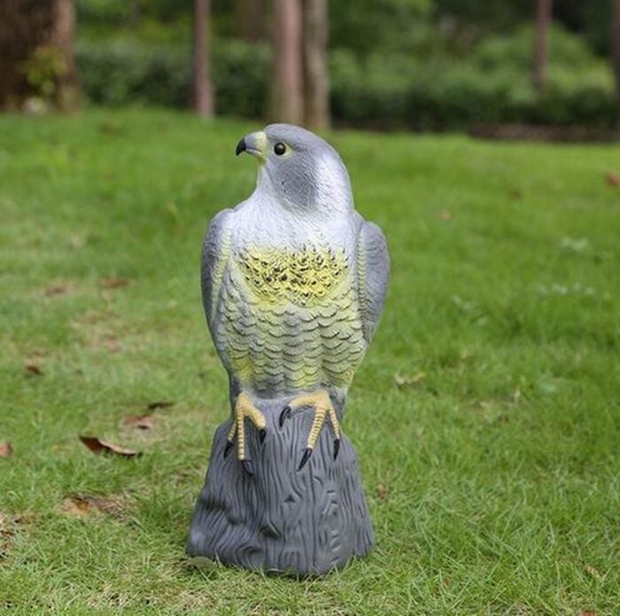 Duif en kraai gezellig naast elkaar in het gazon 7 nep vogel