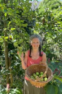 appelboom tuin