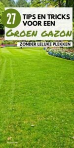 groen gazon